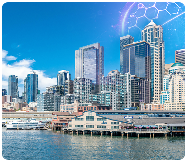 DD San Diego in October