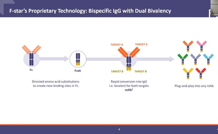 T cell-based bispecific antibody immunotherapies 