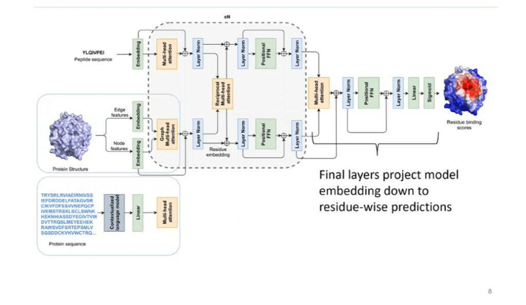 Advanced Antibody Engineering: AI, ML, and Computational Tools
