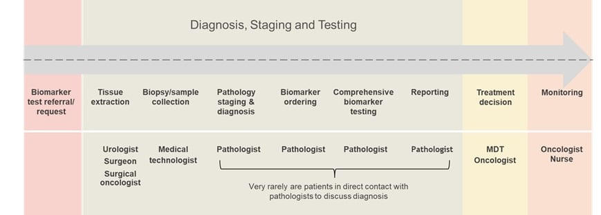 – A diagram showing the in-clinic process for patient treatment following biomarker approval for developing countries 