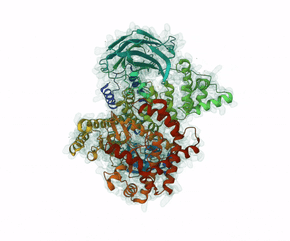 Phosphoinositide 3-kinase, the enzyme that Leniolisib targets for APDS