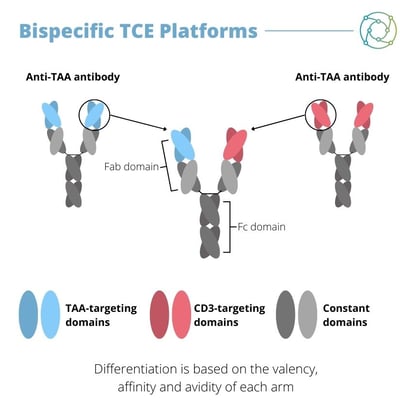 Bispecific T Cell Engagers and Synthetic Immunity: Circumventing Immune ...