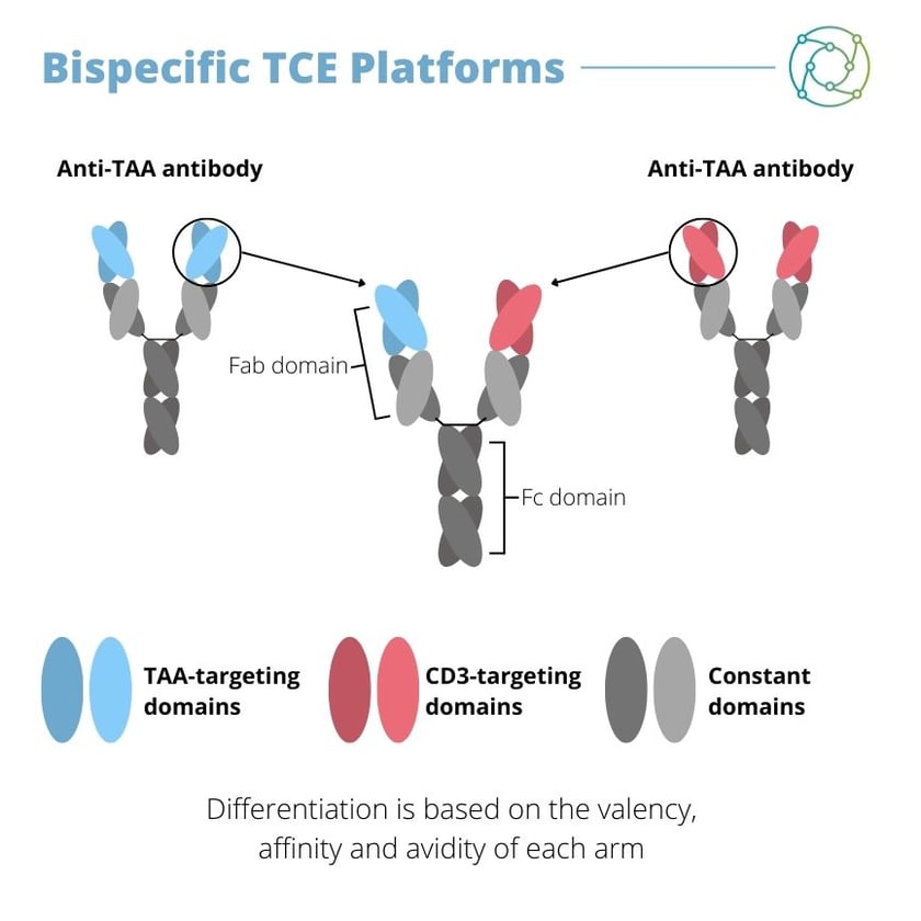 Bispecific T Cell engagers offer a solution to the issue of immune escape in cancer treatments by conveying synthetic immunity to patients.