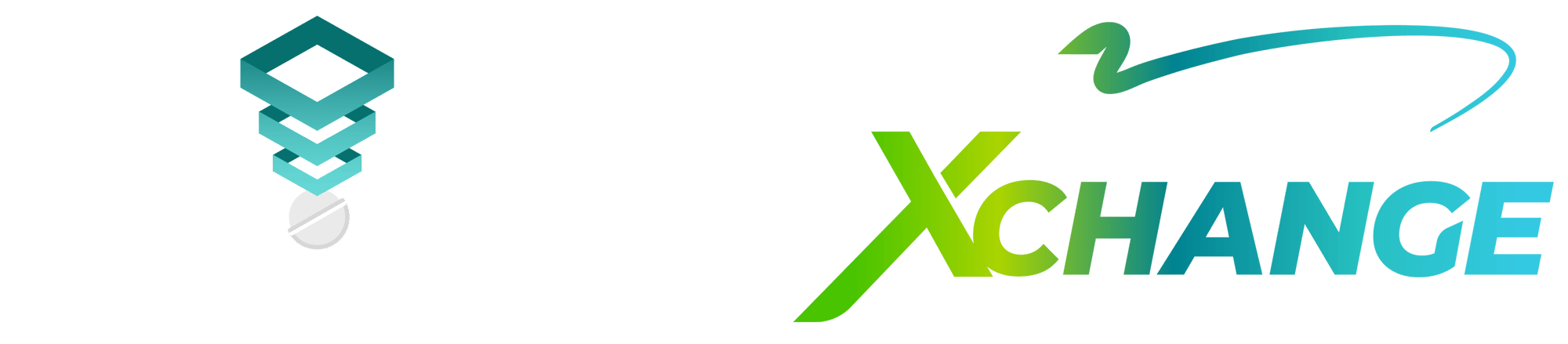 D&D + LSX Combined Logo D&D + LSX Combined Logo