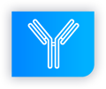 Proteins, Antibodies, ADCs Icon-1