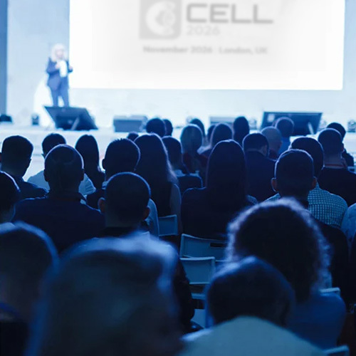 Cell 2026 Whats On Image