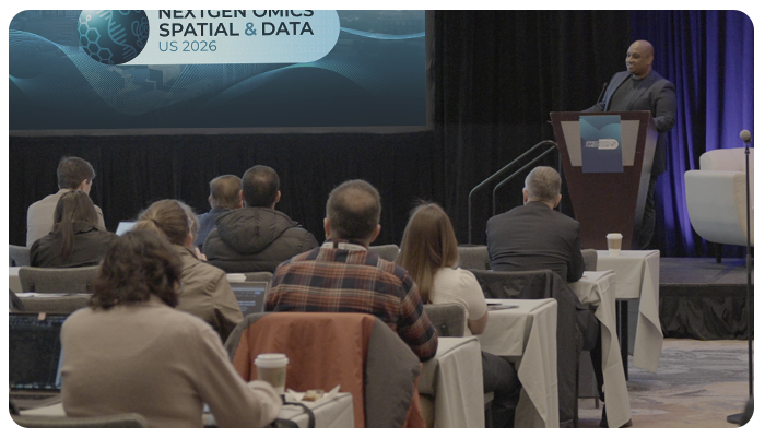 NGO US Look Back Image-1