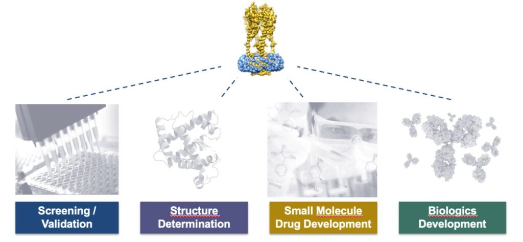 Salipro platform technology applications in drug development.