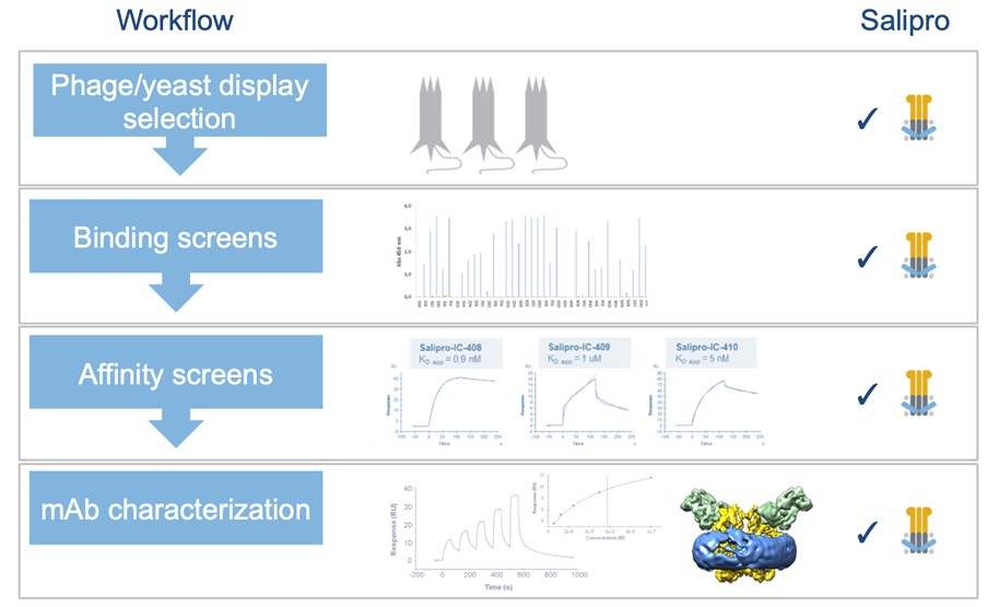 The Salipro® technology platform enables phage display selection and straightforward downstream antibody characterisation with stable transmembrane proteins.