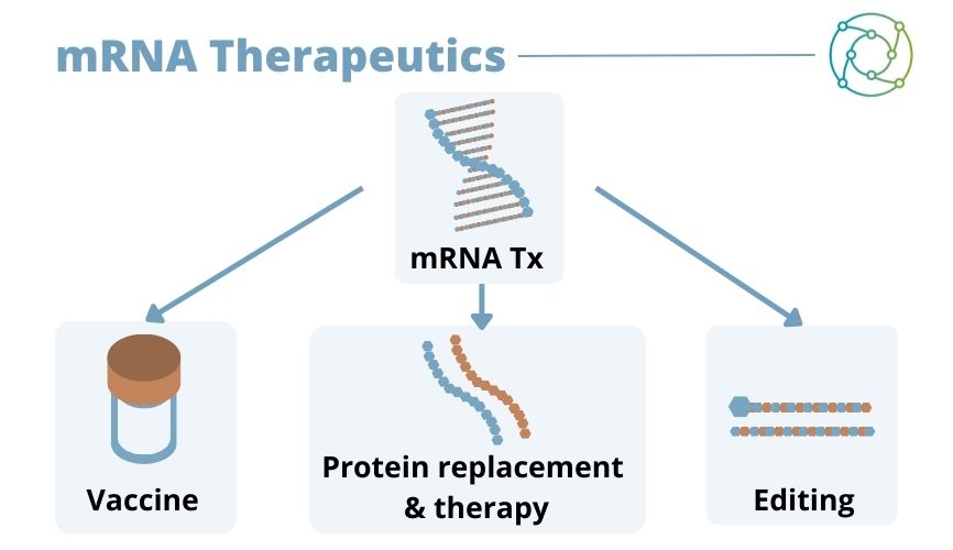 mRNA Therapeutics: Different approaches to working with mRNAs and development.