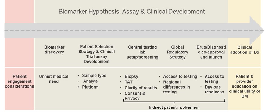 diagram outlining the biomarker discovery pathway for the approval of companion diagnostics 