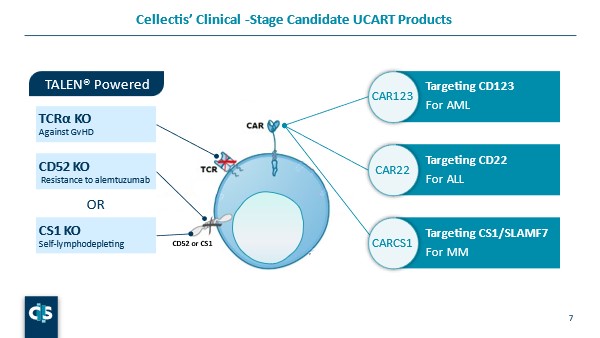 Clinical Development of UCART Products