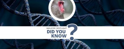 The Applications of CRISPR in Optimising Animal Models for Human Disease Research